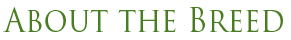about the (4 kB)